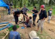 Polda dan Polres Pasbar Gerebek Tambang Emas Ilegal, 3 Pelaku Ditahan
